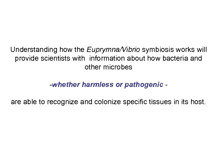 Understanding how the Euprymna/Vibrio symbiosis works will provide scientists with information about how bacteria