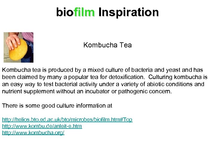 biofilm Inspiration Kombucha Tea Kombucha tea is produced by a mixed culture of bacteria