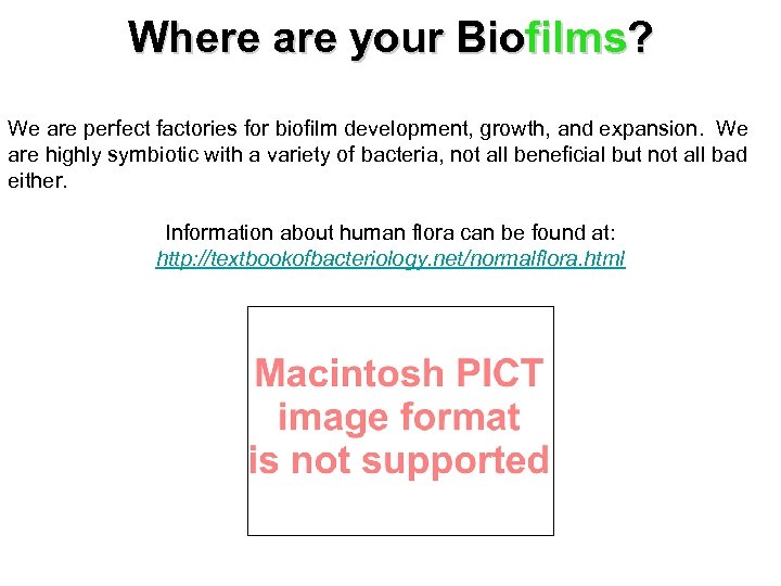 Where are your Biofilms? We are perfect factories for biofilm development, growth, and expansion.