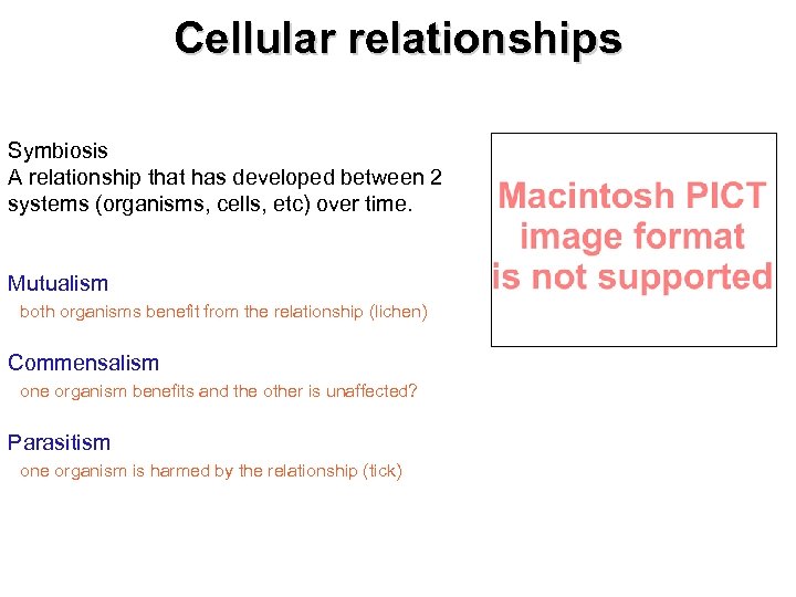 Cellular relationships Symbiosis A relationship that has developed between 2 systems (organisms, cells, etc)