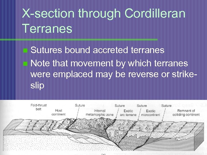 X-section through Cordilleran Terranes Sutures bound accreted terranes n Note that movement by which