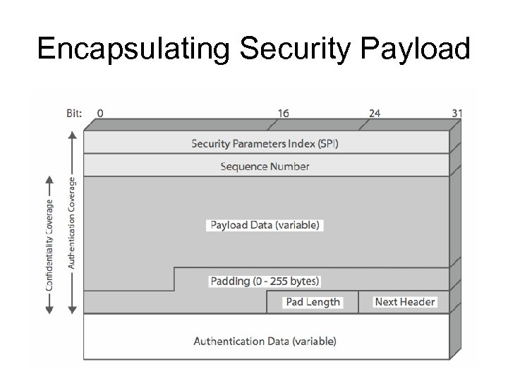 Encapsulating Security Payload 