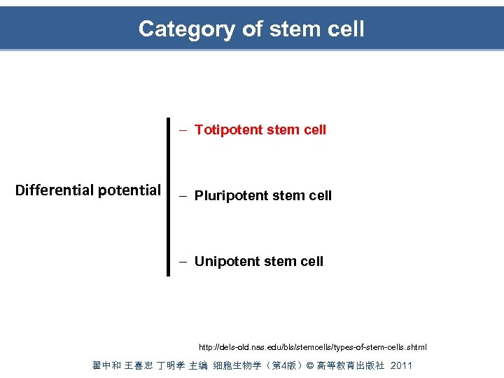 Category of stem cell – Totipotent stem cell Differential potential – Pluripotent stem cell