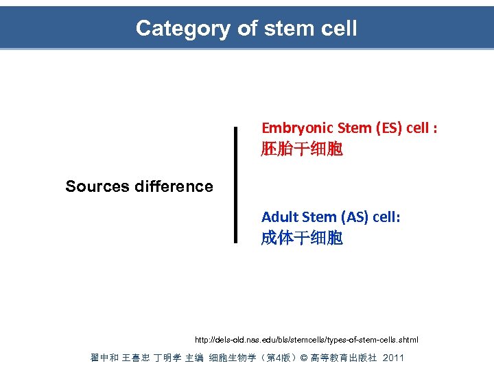 Category of stem cell Embryonic Stem (ES) cell : 胚胎干细胞 Sources difference Adult Stem