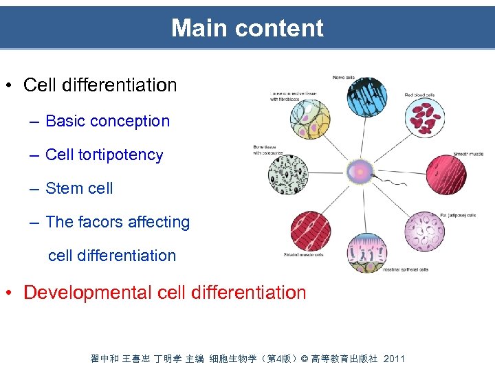 Main content • Cell differentiation – Basic conception – Cell tortipotency – Stem cell