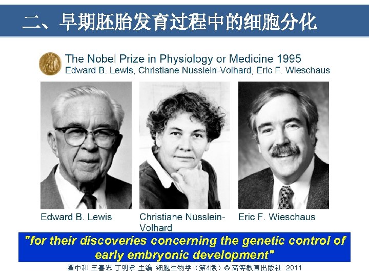 二、早期胚胎发育过程中的细胞分化 "for their discoveries concerning the genetic control of early embryonic development" 翟中和 王喜忠