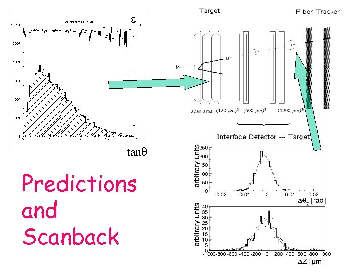 e tanq Predictions and Scanback 
