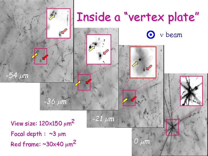 Inside a “vertex plate” n beam -54 mm -36 mm View size: 120 x