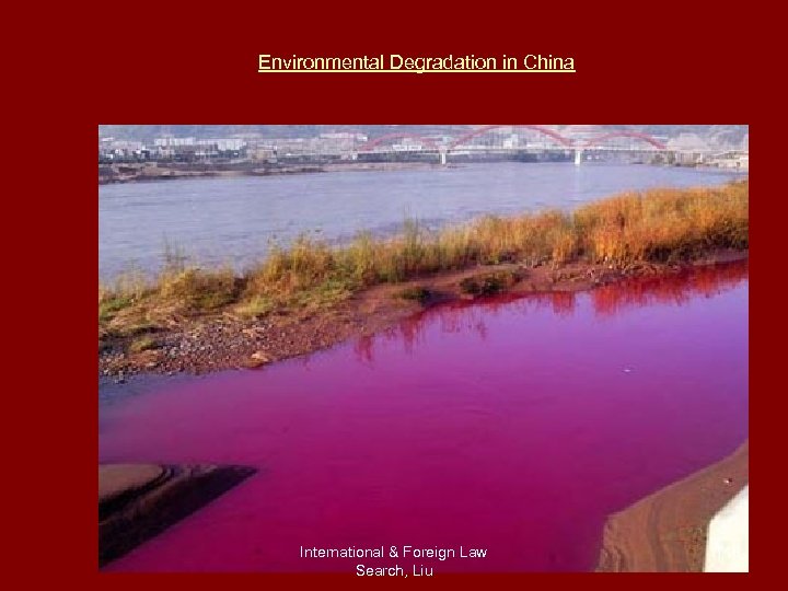Environmental Degradation in China International & Foreign Law Search, Liu 116 