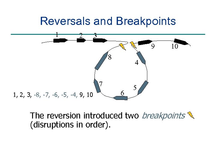 Reversals and Breakpoints 1 2 3 9 8 4 7 1, 2, 3, -8,