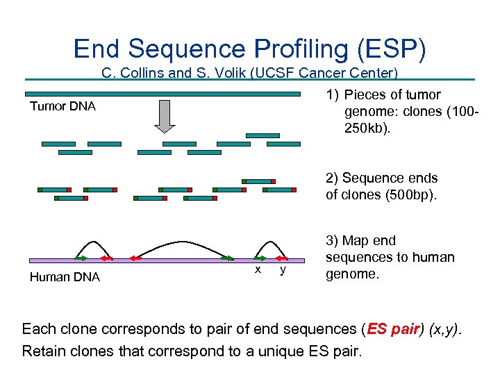 End Sequence Profiling (ESP) C. Collins and S. Volik (UCSF Cancer Center) 1) Pieces