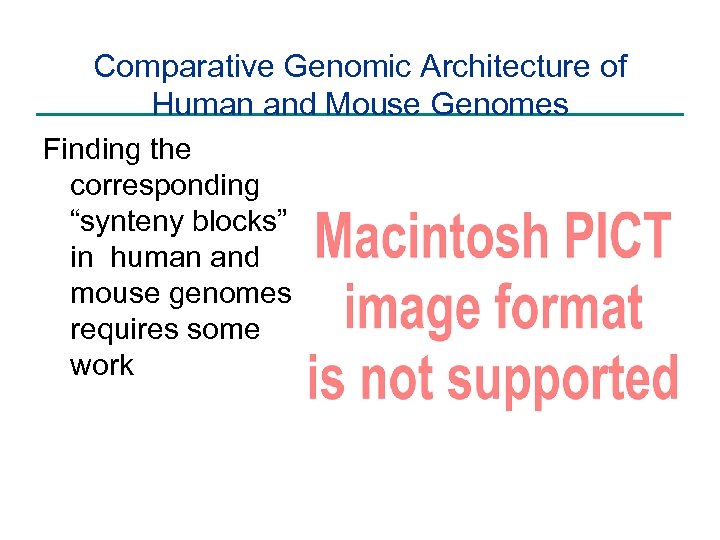 Comparative Genomic Architecture of Human and Mouse Genomes Finding the corresponding “synteny blocks” in