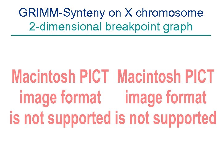 GRIMM-Synteny on X chromosome 2 -dimensional breakpoint graph 