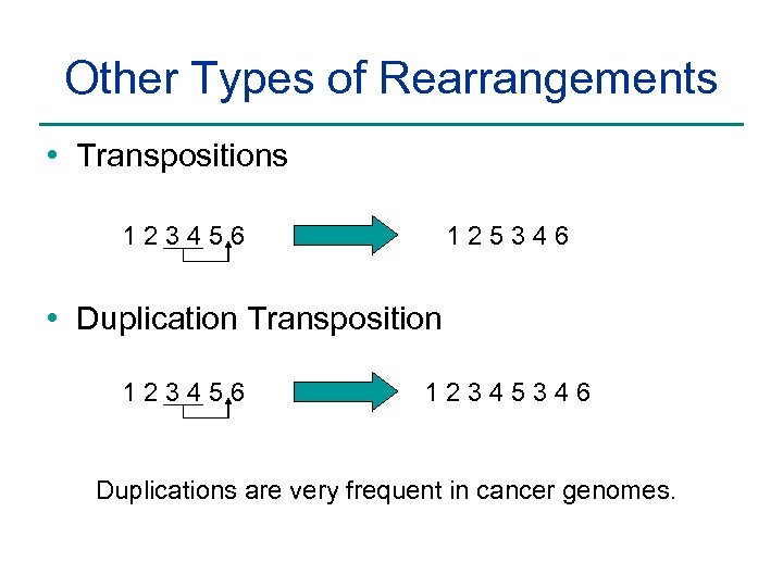Other Types of Rearrangements • Transpositions 123456 125346 • Duplication Transposition 123456 12345346 Duplications