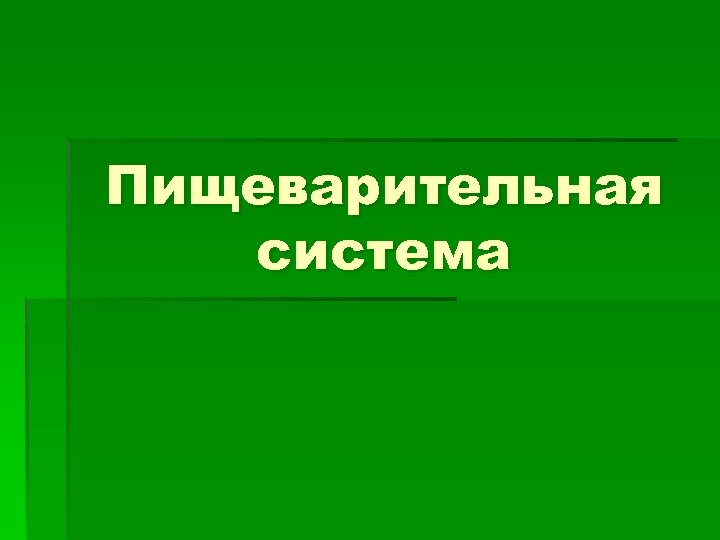 Пищеварительная система 