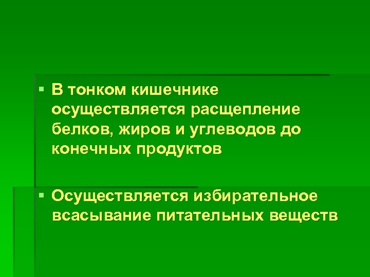 § В тонком кишечнике осуществляется расщепление белков, жиров и углеводов до конечных продуктов §