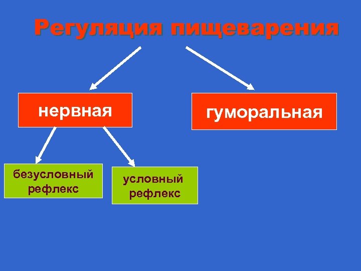 Регуляция пищеварения нервная безусловный рефлекс гуморальная условный рефлекс 