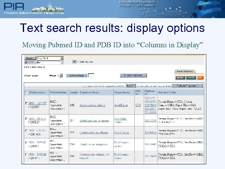 Text search results: display options Moving Pubmed ID and PDB ID into “Columns in
