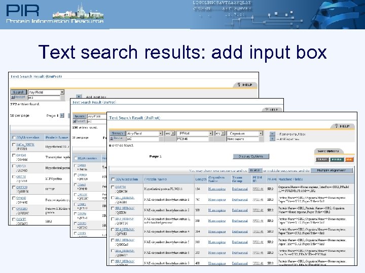 Text search results: add input box 