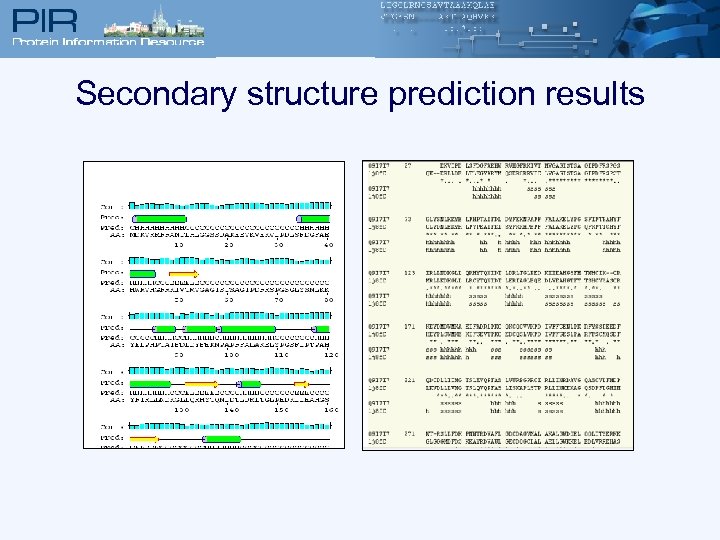 Secondary structure prediction results 