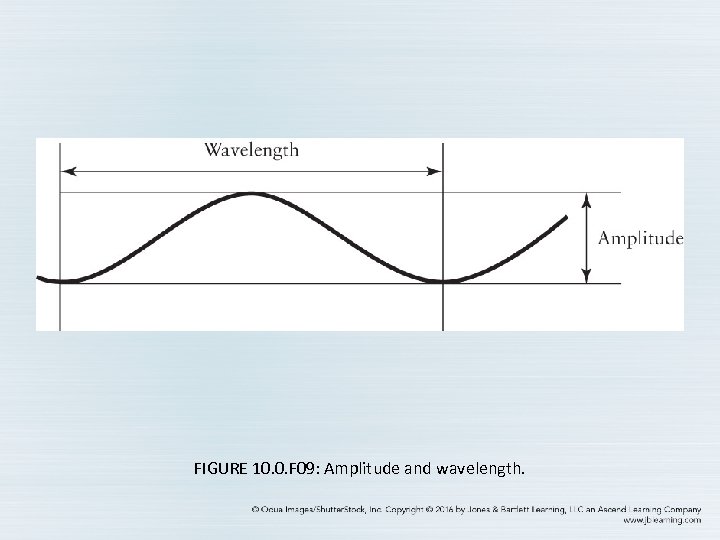FIGURE 10. 0. F 09: Amplitude and wavelength. 