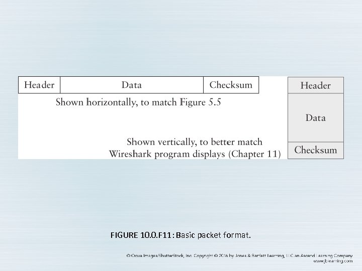 FIGURE 10. 0. F 11: Basic packet format. 