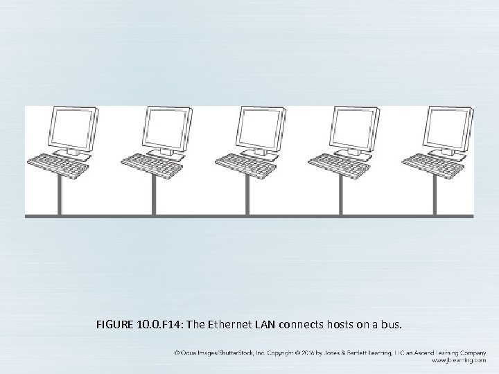 FIGURE 10. 0. F 14: The Ethernet LAN connects hosts on a bus. 