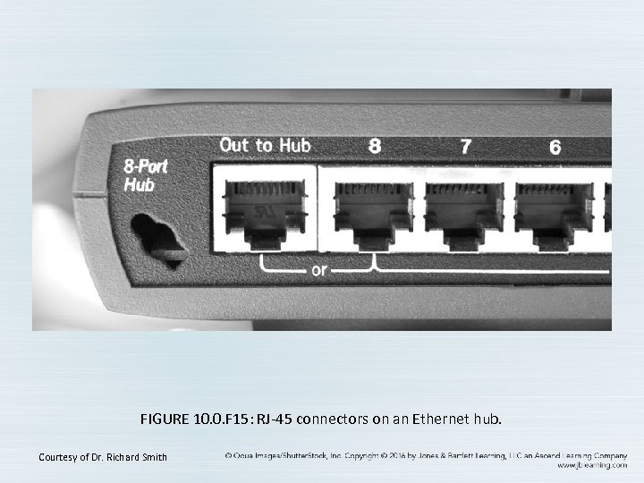 FIGURE 10. 0. F 15: RJ-45 connectors on an Ethernet hub. Courtesy of Dr.