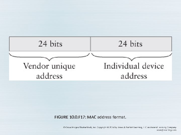 FIGURE 10. 0. F 17: MAC address format. 