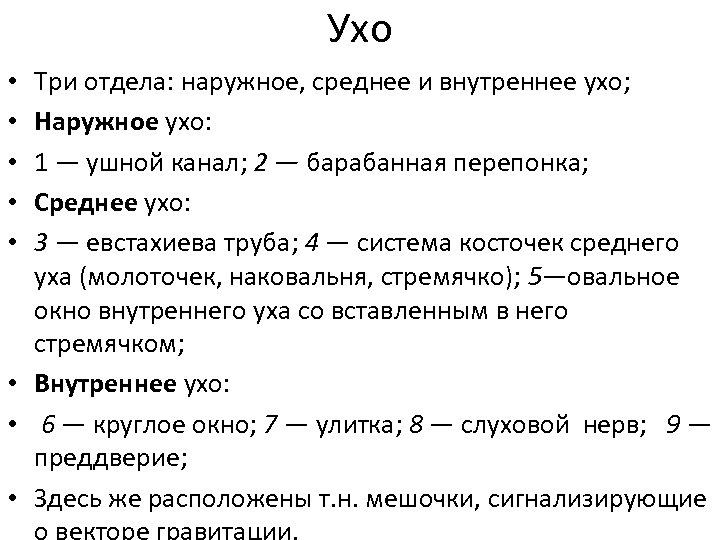 Ухо Три отдела: наружное, среднее и внутреннее ухо; Наружное ухо: 1 — ушной канал;