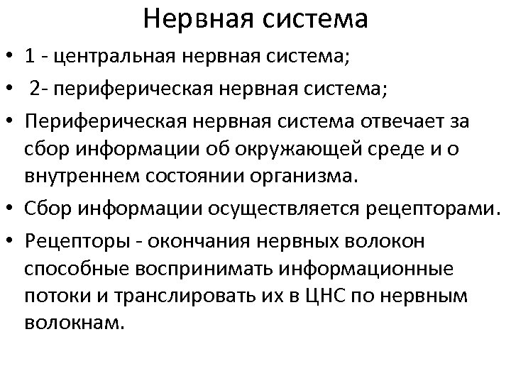 Нервная система • 1 - центральная нервная система; • 2 - периферическая нервная система;