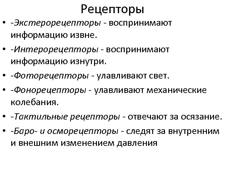 Рецепторы • -Экстерорецепторы - воспринимают информацию извне. • -Интерорецепторы - воспринимают информацию изнутри. •