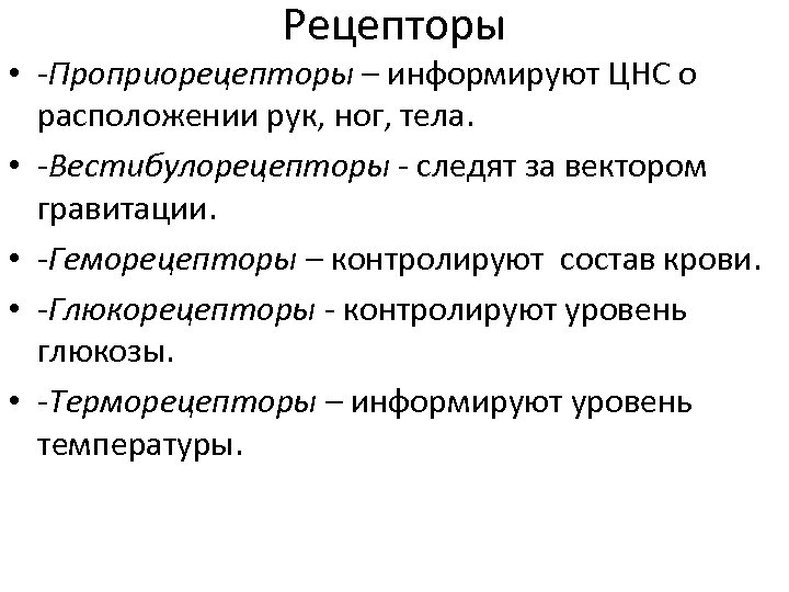 Рецепторы • -Проприорецепторы – информируют ЦНС о расположении рук, ног, тела. • -Вестибулорецепторы -