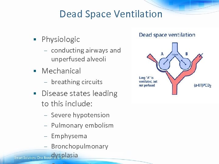  Dead Space Ventilation § Physiologic – § Mechanical – § conducting airways and