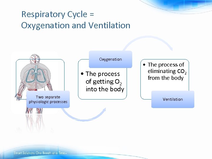 Respiratory Cycle = Oxygenation and Ventilation Oxygenation • The process of getting O 2