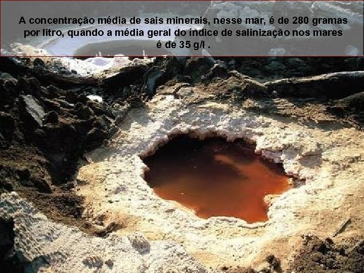 A concentração média de sais minerais, nesse mar, é de 280 gramas por litro,