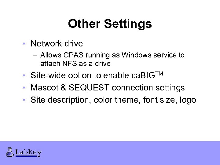 Other Settings • Network drive – Allows CPAS running as Windows service to attach