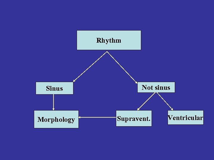Rhythm Sinus Morphology Not sinus Supravent. Ventricular 