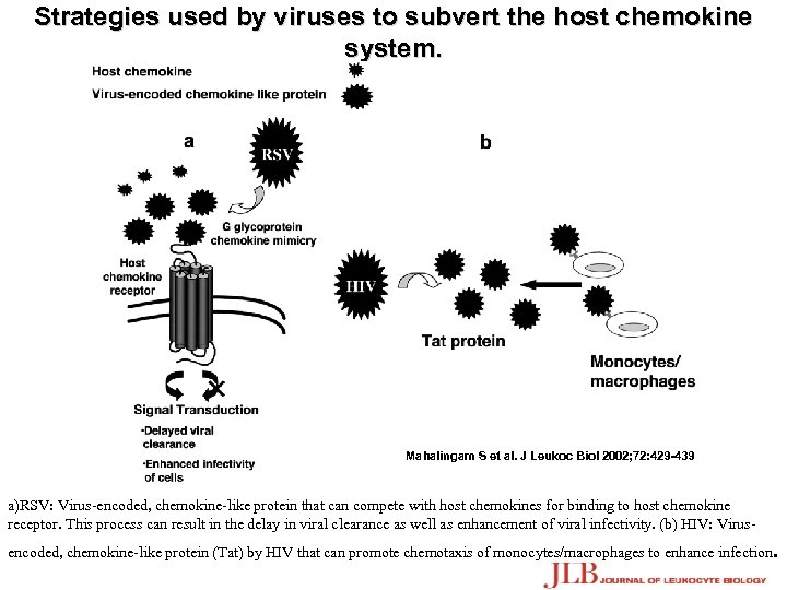 Strategies used by viruses to subvert the host chemokine system. Mahalingam S et al.