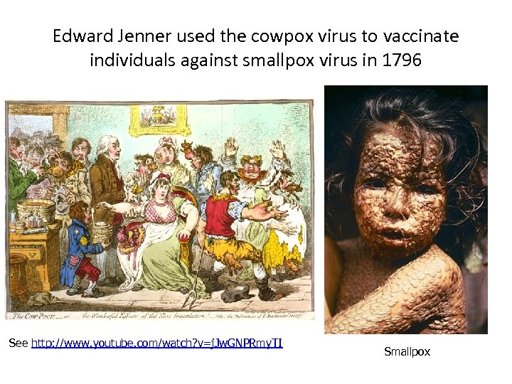 Edward Jenner used the cowpox virus to vaccinate individuals against smallpox virus in 1796
