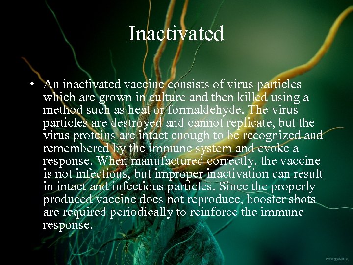 Inactivated • An inactivated vaccine consists of virus particles which are grown in culture