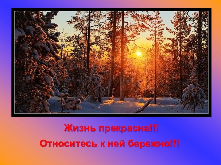 Жизнь прекрасна!!! Относитесь к ней бережно!!! 