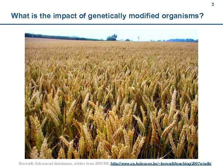 3 What is the impact of genetically modified organisms? Berendt: Advanced databases, winter term