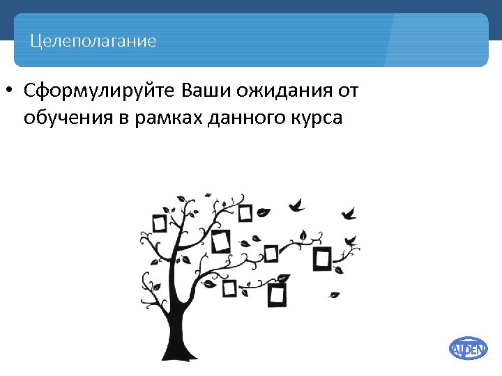 Целеполагание • Сформулируйте Ваши ожидания от обучения в рамках данного курса 