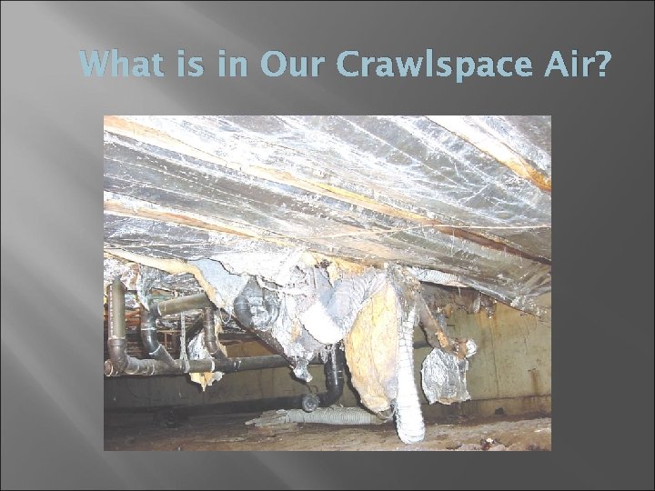 What is in Our Crawlspace Air? 