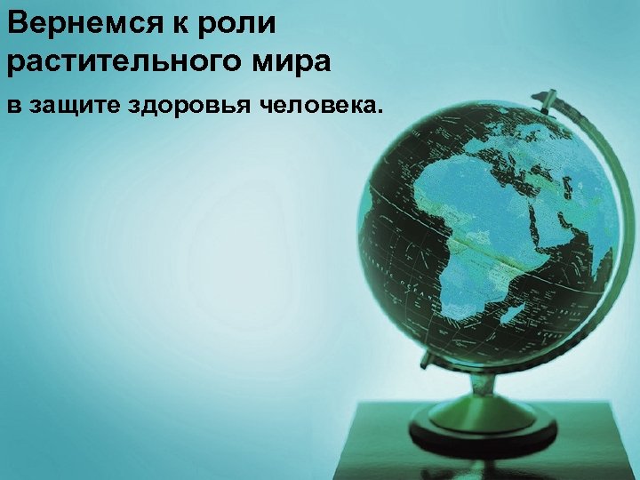 Вернемся к роли растительного мира в защите здоровья человека. 