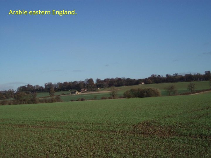 Arable eastern England. 