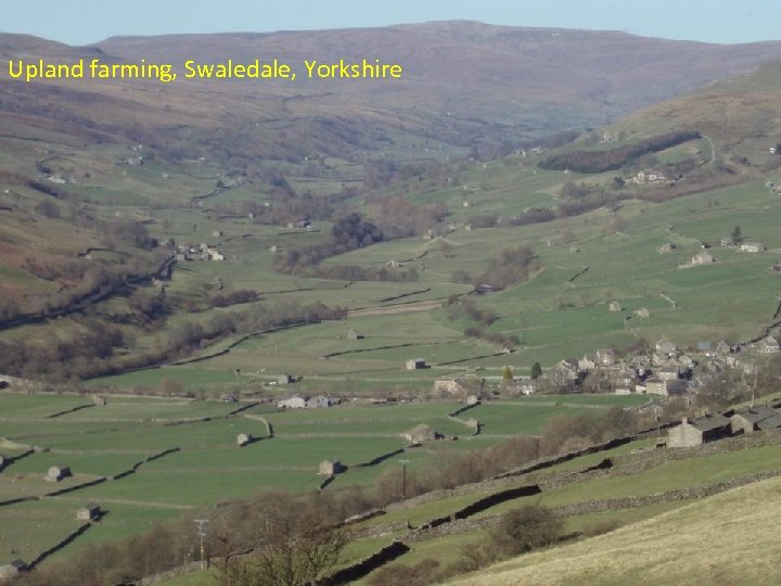 Upland farming, Swaledale, Yorkshire 