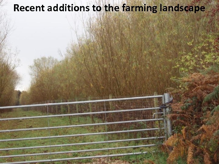 Recent additions to the farming landscape 