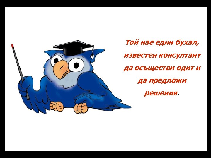 Той нае един бухал, известен консултант да осъществи одит и да предложи решения. 